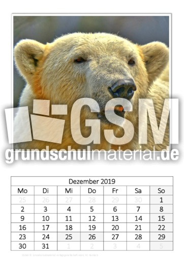 Dezember_Eisbär_3.pdf